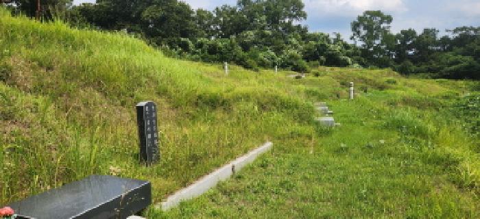 2025타경52831 임야 · 경기도 광주시 능평동 산10-4