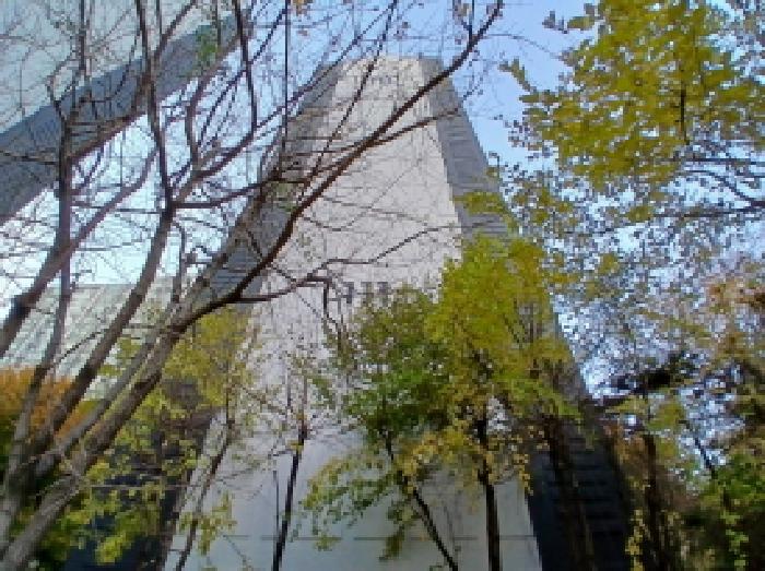 2025타경53385 아파트 · 경기도 성남시 중원구 하대원동 539 성남자이 111동 11층1101호