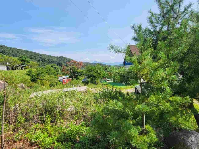 2023타경3280 공장 · 경기도 양평군 강하면 동오리 771-52