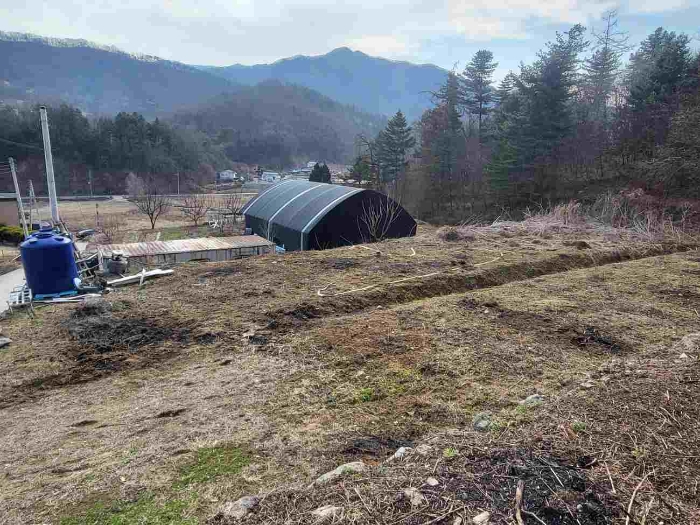 2024타경32636 · 경기도 양평군 강하면 항금리 377-9