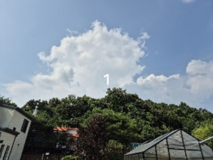 2024타경37754 임야 · 경기도 양평군 개군면 하자포리 190-6