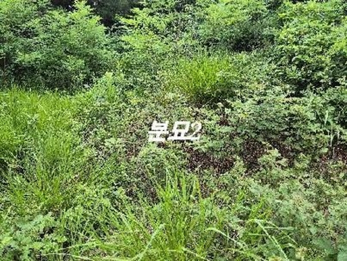 2024타경3874 임야 · 경기도 여주시 연라동