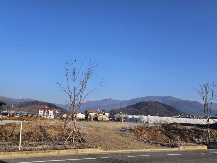 2024타경41715 전답 · 경기도 양평군 옥천면 옥천리 644-14