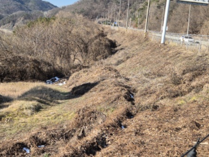 2024타경42077 · 경기도 양평군 용문면 삼성리 252-1