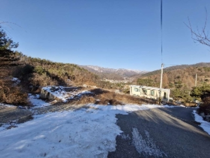 2024타경42398 대지 · 경기도 양평군 옥천면 신복리 703-5
