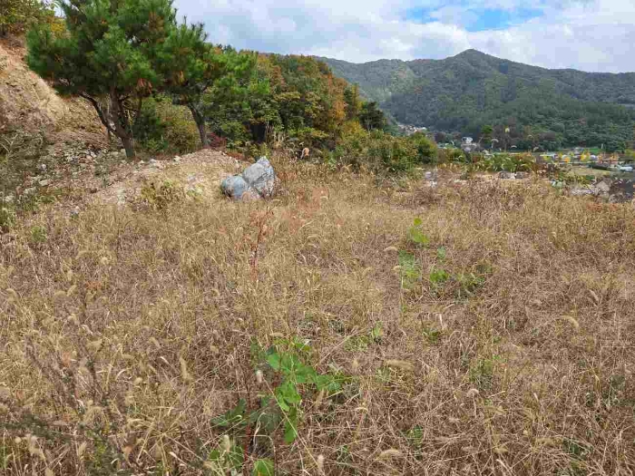2024타경5696 임야 · 경기도 양평군 용문면 연수리 654-47