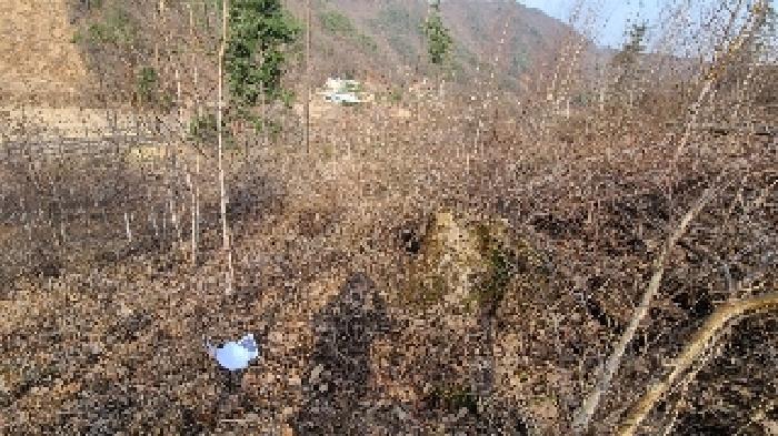 2025타경31053 임야 · 경기도 양평군 강하면