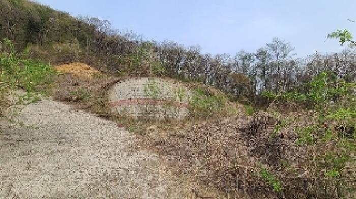 2025타경31084 임야 · 경기도 여주시 산북면 주어리 362-1