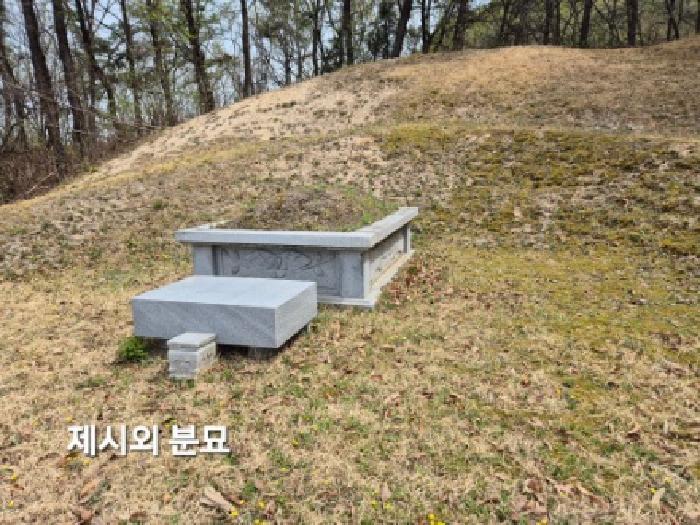 2025타경31110 임야 · 경기도 여주시 가남읍 안금리 532-5