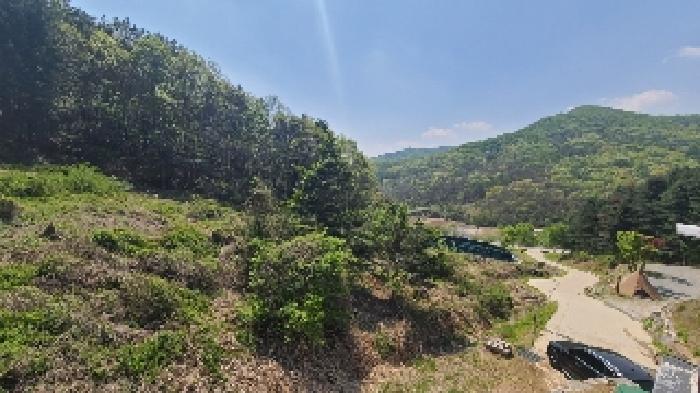 2025타경31120 임야 · 경기도 여주시 금사면 주록리 산40
