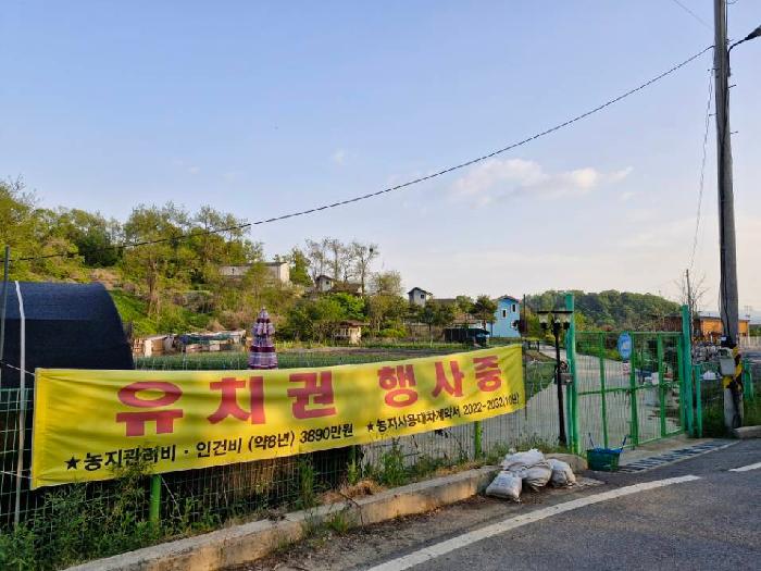 2025타경31123 대지 · 경기도 양평군 양평읍