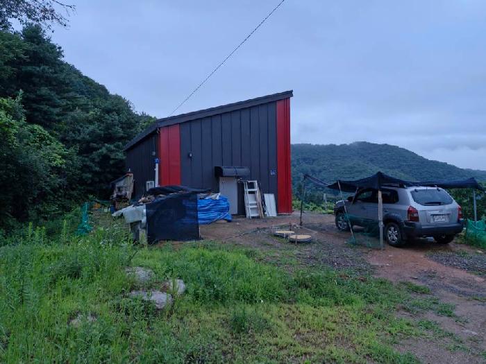 2025타경31416 대지 · 경기도 양평군 옥천면 신복리 402-19