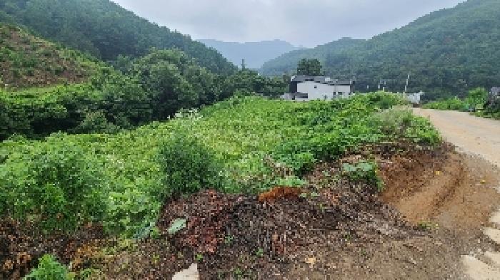 2025타경691 · 경기도 양평군 강상면 대석리 350-7