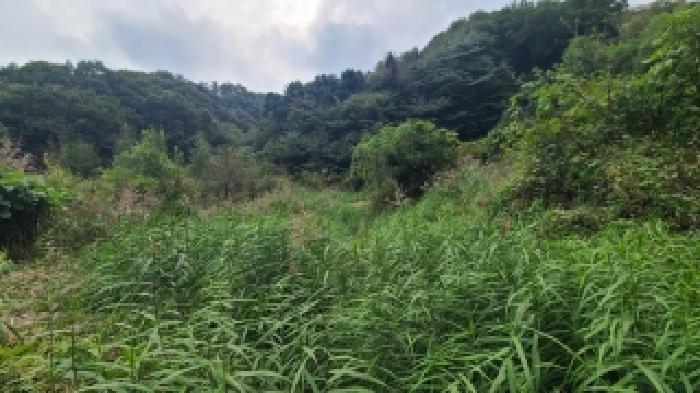 2025타경880 전답 · 경기도 여주시 산북면 주어리 622