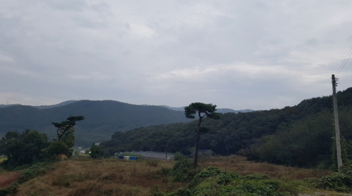 2024타경52534 임야 · 경기도 안성시 보개면 기좌리 산49