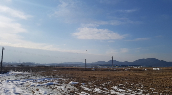 2024타경55298 전답 · 경기도 안성시 대덕면 소내리 172