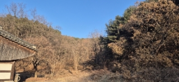 2024타경56451 임야 · 경기도 평택시 도일동