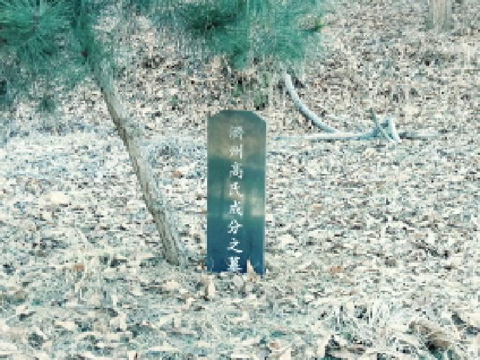 2025타경40392 · 경기도 안성시 금광면 사흥리 182