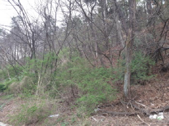 2025타경41570 임야 · 경기도 평택시 독곡동 산10