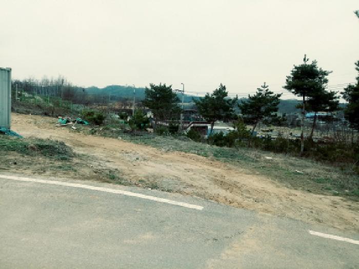 2025타경41686 임야 · 경기도 안성시 사곡동 92-11