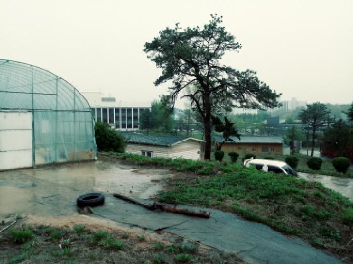 2025타경41719 상가근린 · 경기도 안성시 미양면