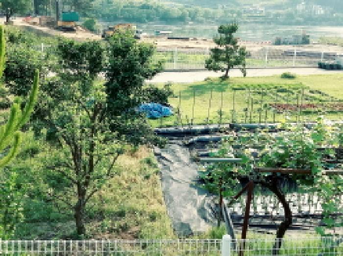 2025타경41847 · 경기도 안성시 고삼면