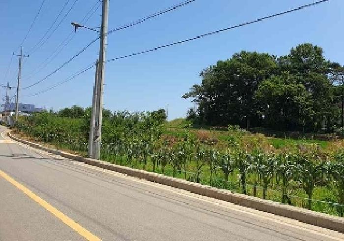 2025타경42149 임야 · 경기도 평택시 현덕면 덕목리 산8-1