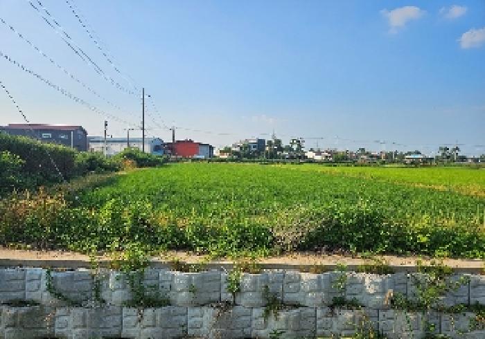 2025타경42196 전답 · 경기도 평택시 현덕면
