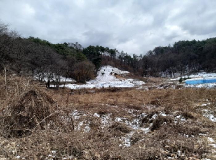 2025타경42844 임야 · 경기도 안성시 금광면 장죽리 산6-9