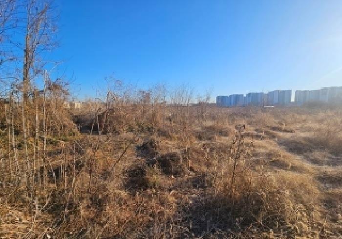 2025타경43081 대지 · 경기도 평택시 팽성읍