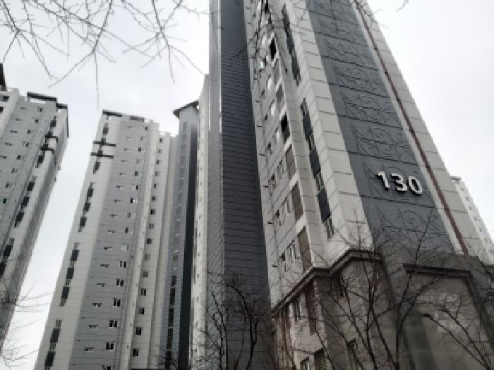 2025타경43094 아파트 · 경기도 안성시 대덕면 신령리 820 안성롯데캐슬 130동 13층1306호