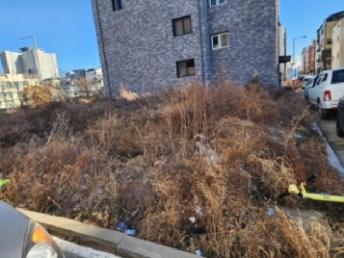 2025타경43229 대지 · 경기도 평택시 고덕동 2623-6