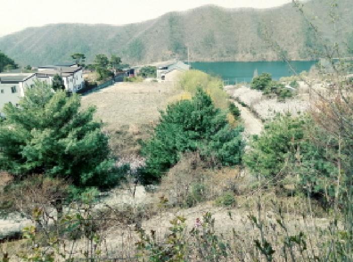 2025타경567 · 경기도 안성시 미리내성지로