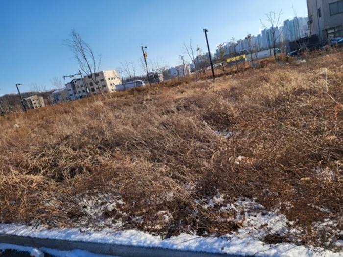 2026타경20 대지 · 경기도 평택시 고덕동 2415-4