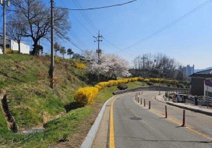 2026타경50546 임야 · 경기도 안성시 봉산동 31-14