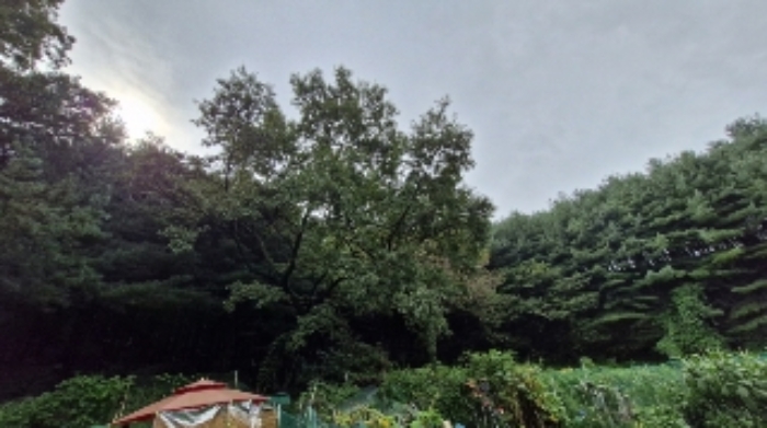 2024타경107598 임야 · 경기도 군포시 산본동 산105