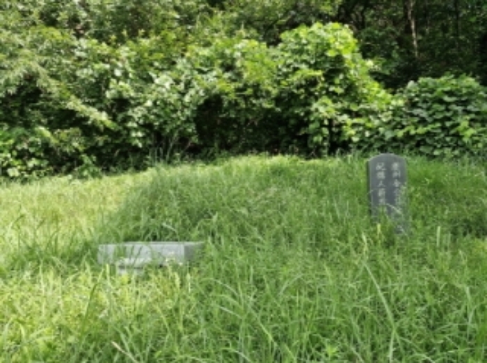 2024타경1508 임야 · 경기도 의왕시 학의동 산20