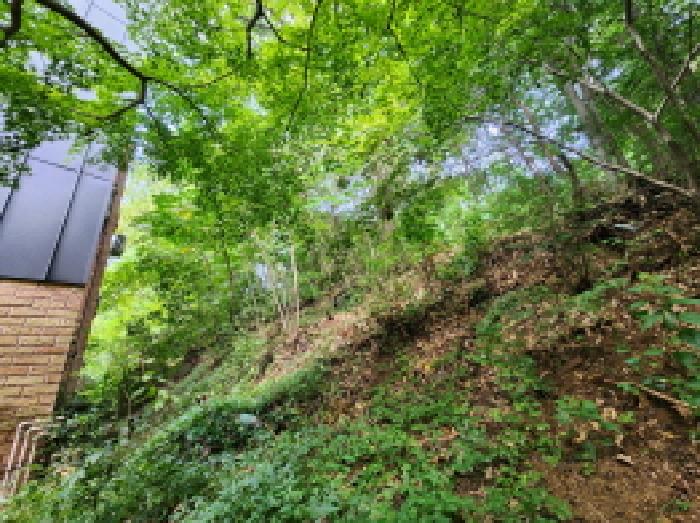 2025타경101368 임야 · 경기도 과천시 과천동 산87-29