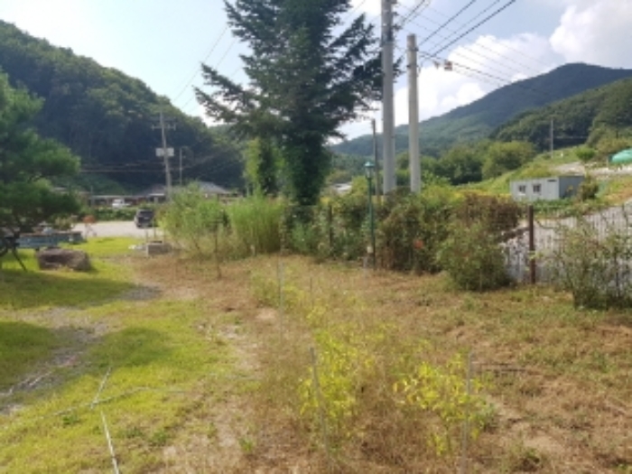 2024타경2209 상가근린 · 강원특별자치도 홍천군 홍천읍