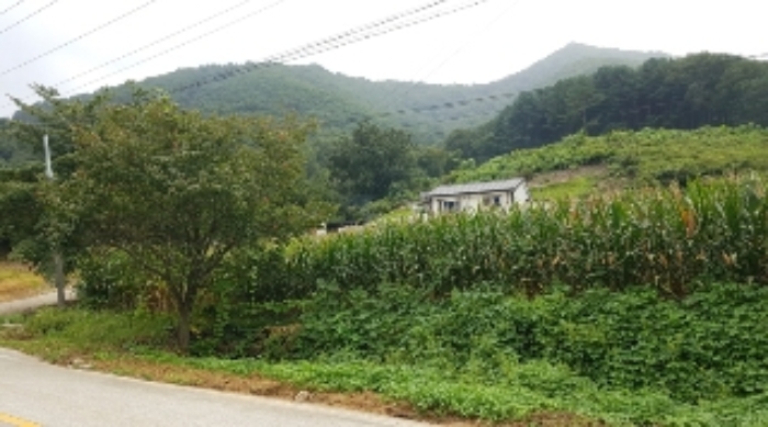 2024타경51904 대지 · 강원특별자치도 화천군 상서면