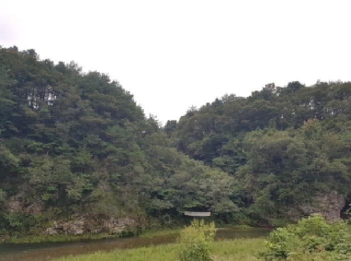 2025타경2138 임야 · 강원특별자치도 홍천군 서면