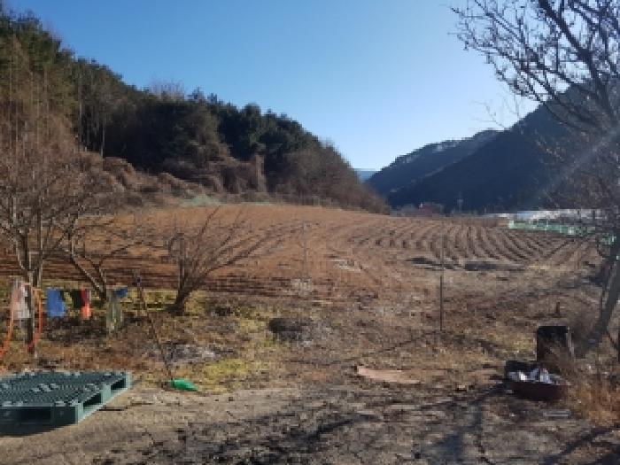 2025타경2565 · 강원특별자치도 홍천군 서석면 청량리 338
