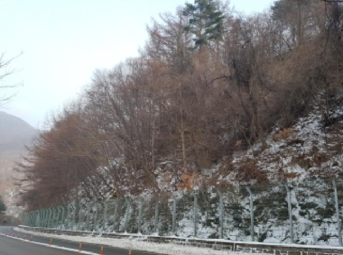 2025타경2619 임야 · 강원특별자치도 홍천군 북방면