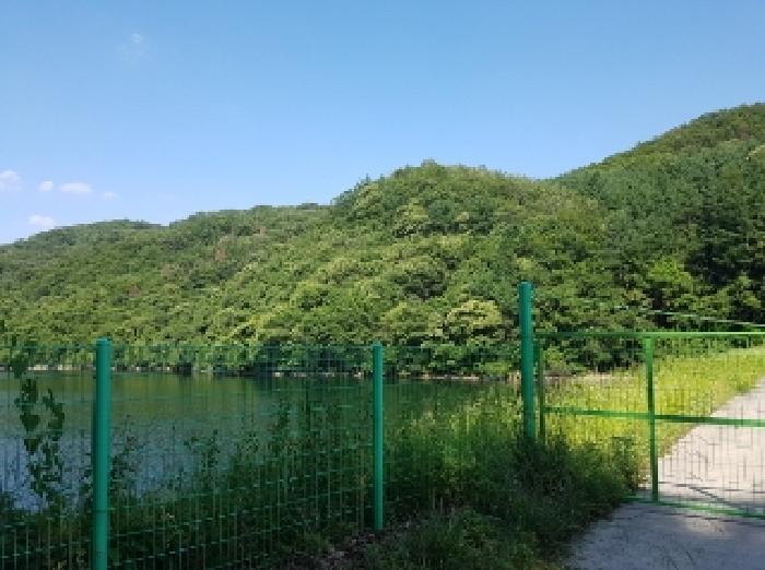 2025타경50604 임야 · 강원특별자치도 춘천시 남산면 수동리 산60