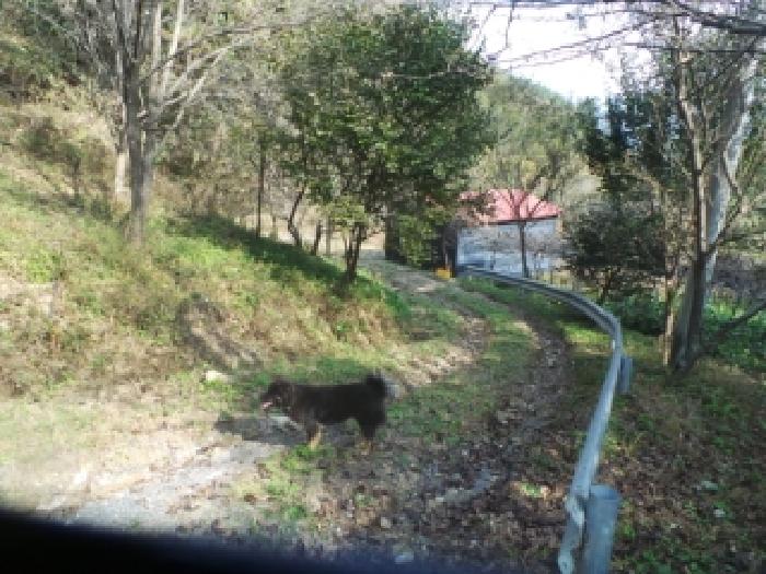 2025타경50790 대지 · 강원특별자치도 화천군 가화로