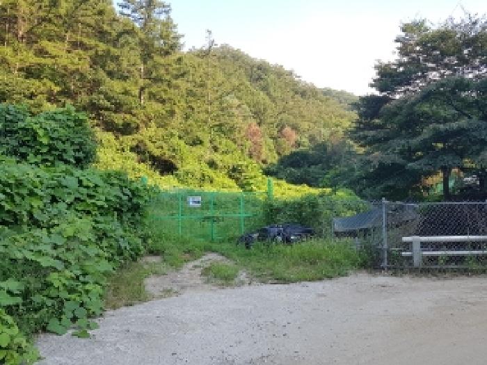 2025타경50824 임야 · 강원특별자치도 춘천시 남산면