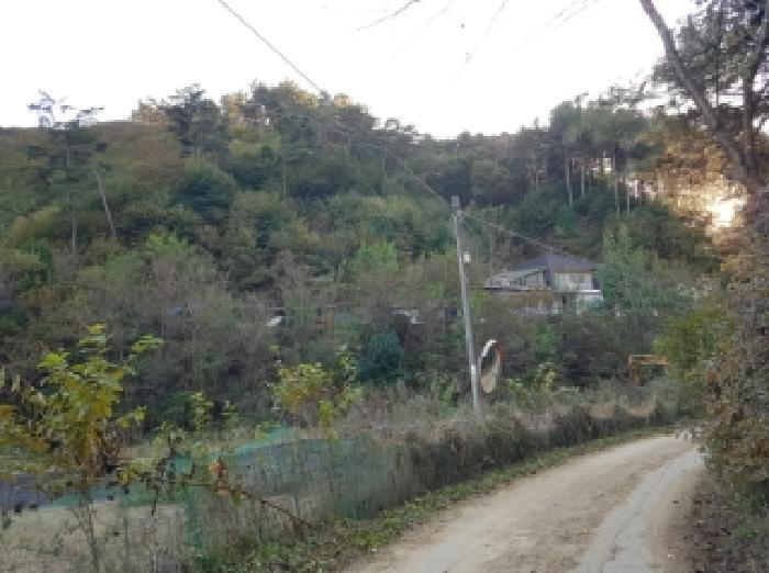 2025타경50874 대지 · 강원특별자치도 홍천군 남면