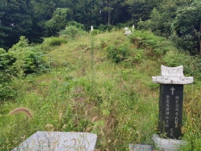 2025타경50878 임야 · 강원특별자치도 춘천시 남산면