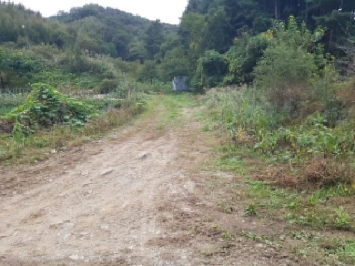 2025타경50921 · 강원특별자치도 춘천시 동산면 조양리 49