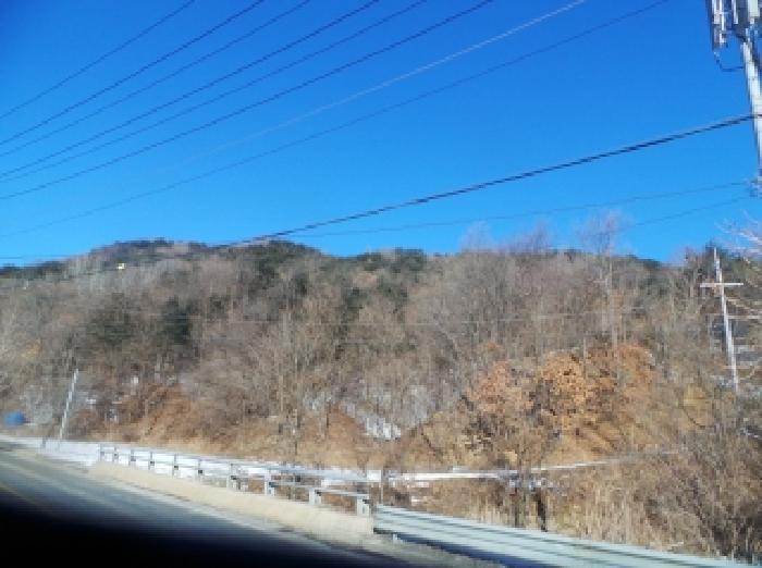 2025타경51050 임야 · 강원특별자치도 양구군 동면